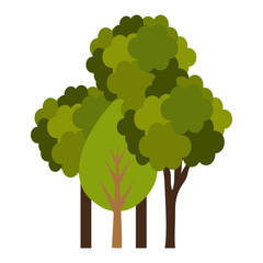 Canvas Print - trees plants isolated icon vector illustration design