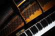 Piano close up. Grand piano detail