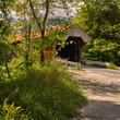 Traditional covered bridge set in woodland