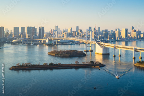 Zdjęcie XXL Tokio linia horyzontu z Tokio schronieniem w Japonia