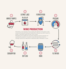 Wall Mural - thin line infographic of wine fermentation, making. how wine is made, wine elements, creating a wine