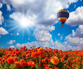 The balloon flying over fields