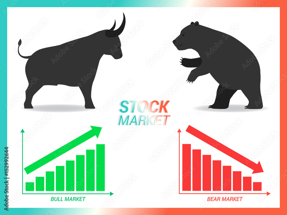 Stock market concept bull vs bear are facing and fighting on white ...