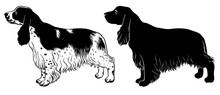 Cocker Spaniel Set - Outline And Silhouette Vector