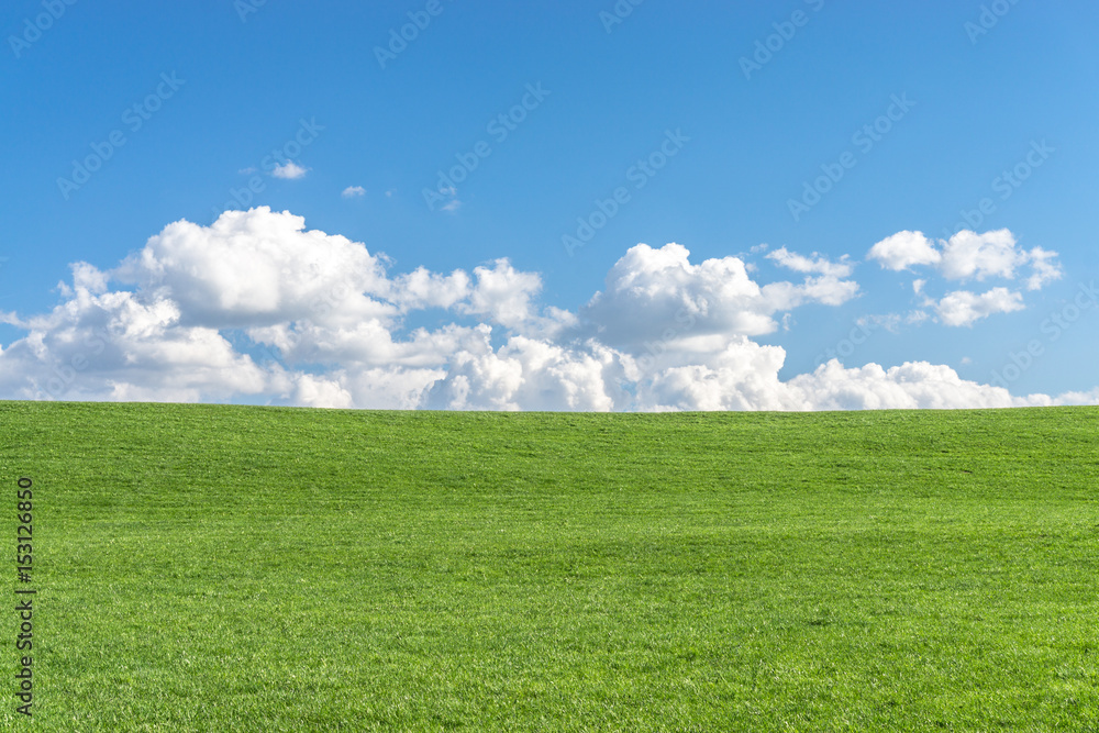 Green grass field with clear blue sky and white clouds Stock Photo ...