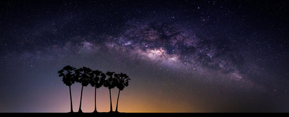 Wall Mural - landscape with milky way galaxy. night sky with stars and silhouette coconut palm tree on the mounta