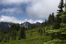 Tatoosh Range Mt. Rainier National Park 
