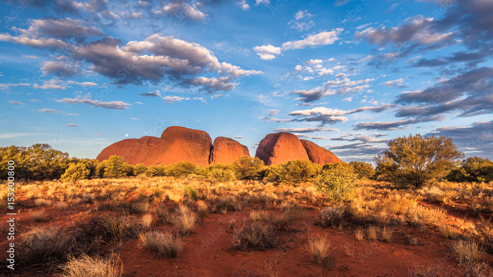 Australia landscape - obrazy, fototapety, plakaty 