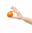 © serhii - Hand with an orange ball