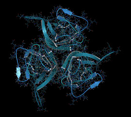 Poster - B-cell activating factor (BAFF, extracellular domain fragment) protein. Cytokine that acts as B cell activator. Target of the monoclonal antibody drug belimumab. 