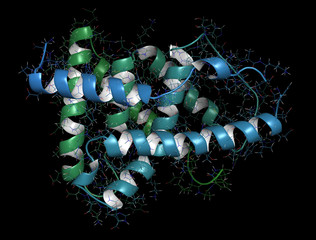 Canvas Print - Farnesoid X receptor (ligand binding domain) protein. Target of the drug obeticholic acid. 3D rendering based on protein data bank entry 4wvd.