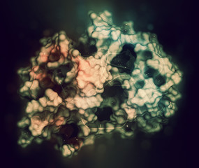 Poster - MEK1 or mitogen-activated protein kinase kinase 1 (rabbit) protein. MEK inhibitors are used in treatment of cancer and include cobimetinib and trametinib. 