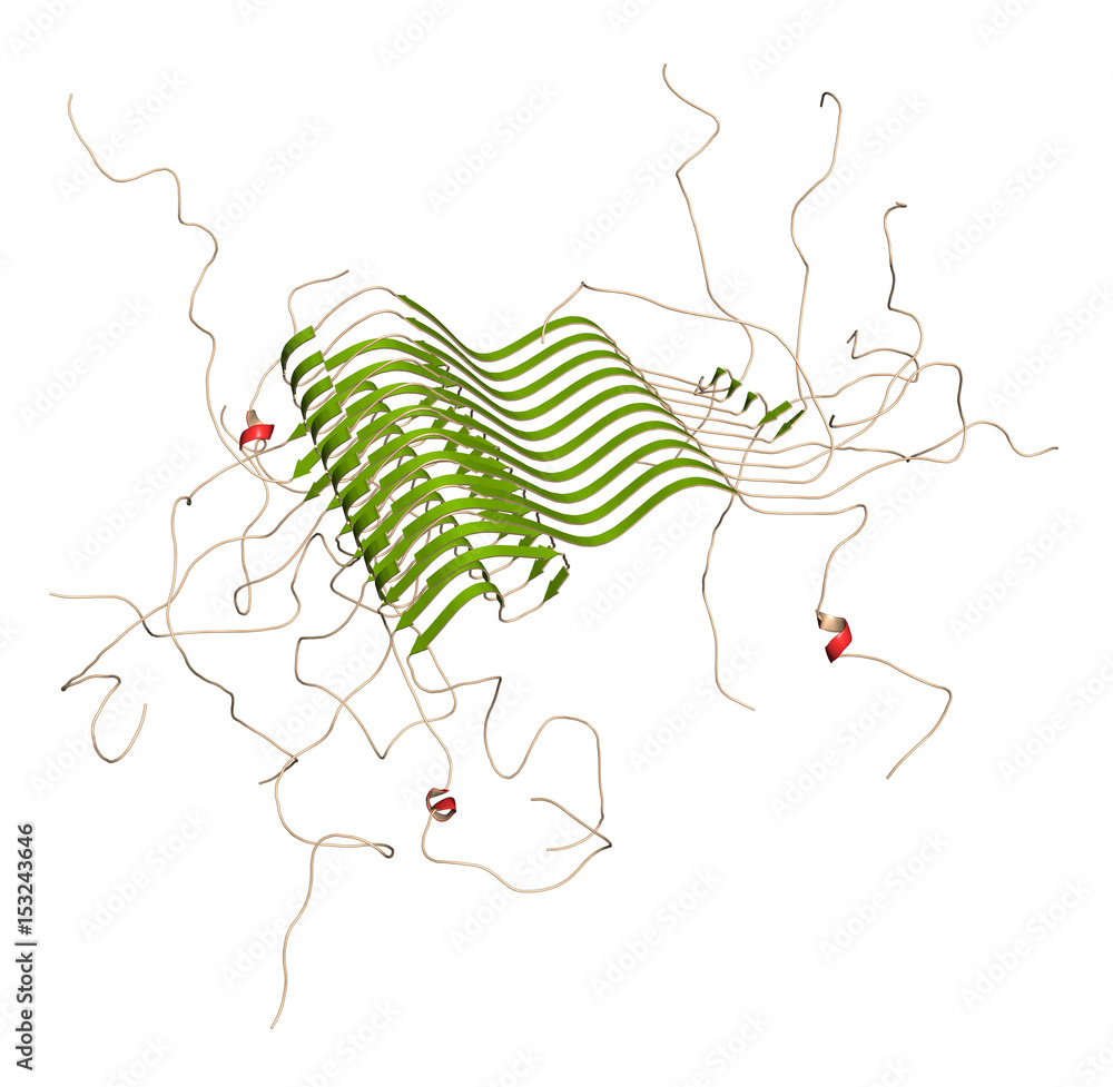 Alpha-synuclein fibril structure, determined by solid-state NMR. Thought to play a role in diseases including Parkinson's disease and dementia with Lewy bodies. - obrazy, fototapety, plakaty 