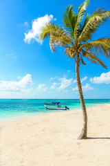 Wall Mural - Akumal beach - paradise bay  Beach in Quintana Roo, Mexico - caribbean coast