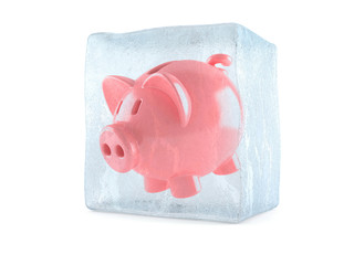 Canvas Print - Piggy bank inside ice cube