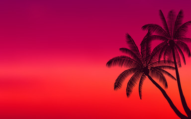 Wall Mural - Silhouette palm tree and sunset sky in flat icon design with vintage filter background