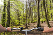 Radfahrer im Frühlingswald mit Sonnenstrahlen