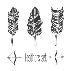 Wall Mural - Hand drawn feathers set, vector illustration