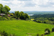 Ide hill landscape, Kent countryside, Sevenoaks. Country walks to the lake and woods, selective focus