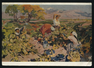 Sticker - Grape harvesting by Kotanjyan