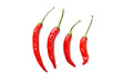 line of hot chili peppers on white background