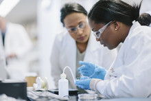 Female Doctors Examining Petri Dish In Laboratory