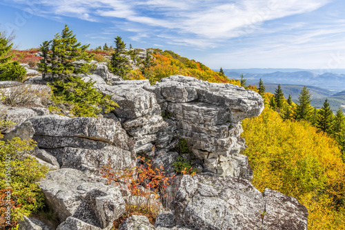 Fotografie, Obraz Fall Color at Bear Rocks - at The Dolly Sods Wilderness in the Allegheny Mountai