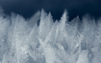 Macro shot of ice crystals