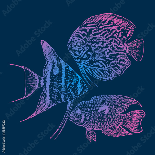 Graphic Aquarium Fishes Set