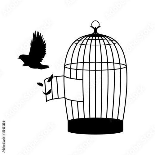 Monochrome Bird Silhouette Concept