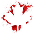 Canada maple leaf with blood splash 