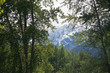 Woods surrounding Leavenworth, Washington with the Cascade Mountain Range in the distance