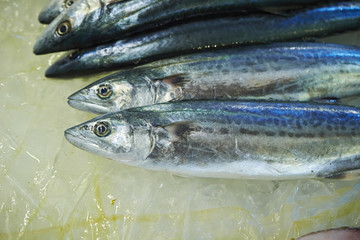 Wall Mural - Seafood market