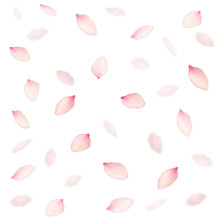 Flower Pink Petals Background. Vector