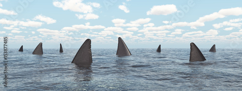 Plakat Kolekcja rekinów