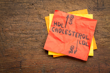 HDL and LDL cholesterol concept