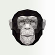 Vector portrait of monkey polygonal . Triangle illustration monkey for use print on t-shirt and poster. Geometric low poly chimpanzee design. Hipster animal print in summer sunglasses. Monkey icon.