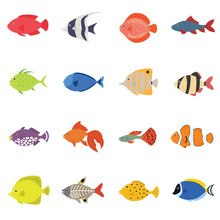 Cute Fish Vector Illustration Icons Set. Tropical Fish, Sea Fish, Aquarium Fish Set Isolated On White Background.