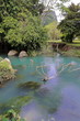 Mountain cool spring-small blue lagoon. Tham Jang cave-Vang Vieng-Laos. 4681