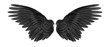 Leinwandbild Motiv black wings on white background