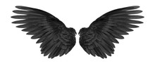 Black Wings On White Background