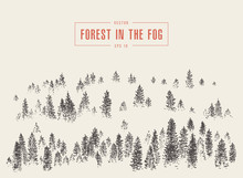 Misty Fog Pine Forest Mountain Vector Drawn Sketch