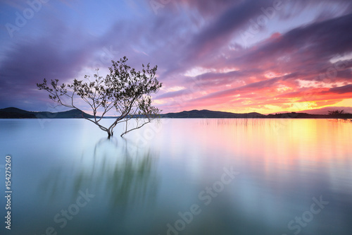 Beau coucher de soleil sur un arbre solitaire dans un lac à Vitoria, Pays Vasco Poster Mural XXL