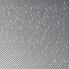 Rain isolated on transparent background. Vector.