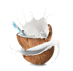 Wall Mural - Tasty milk shake in coconut on white background