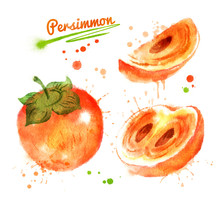 Watercolor Illustration Of Persimmon