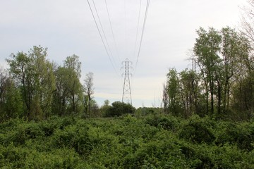 The line of power towers in the grass field. 