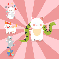 Wall Mural - Circus cats vector cheerful illustration for kids with little domestic cartoon animals playing mammal