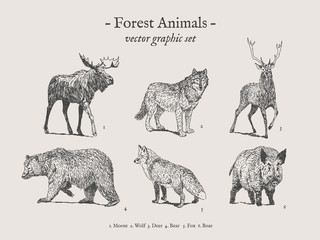 Forest animals drawings set on grey background with moose, wolf, deer, bear, fox, boar