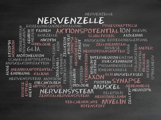 Wall Mural - Nervenzelle